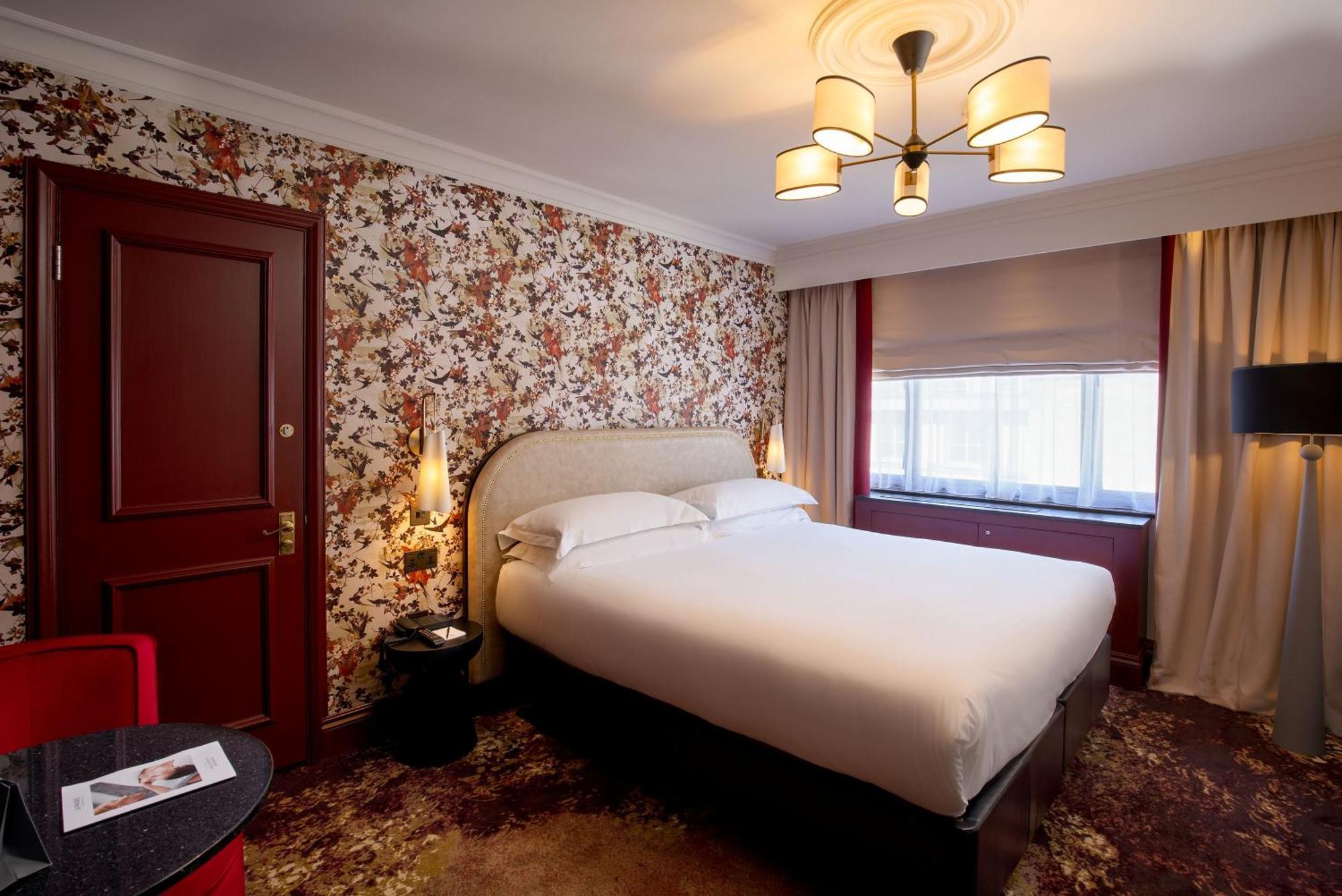 Superior King Room,1689819335:JPEG